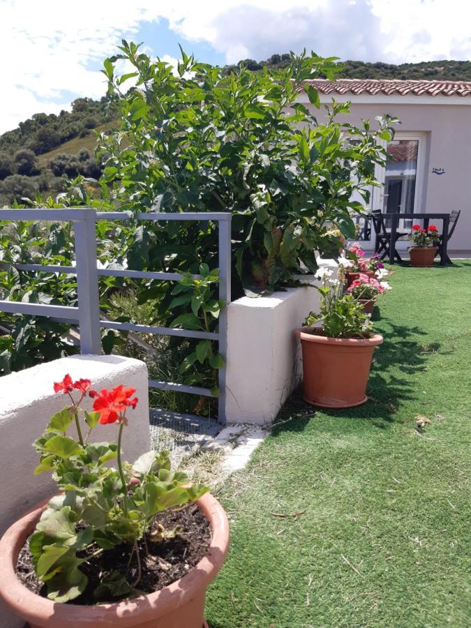 Sole&Sale Bed & Breakfast San Teodoro  Exterior foto
