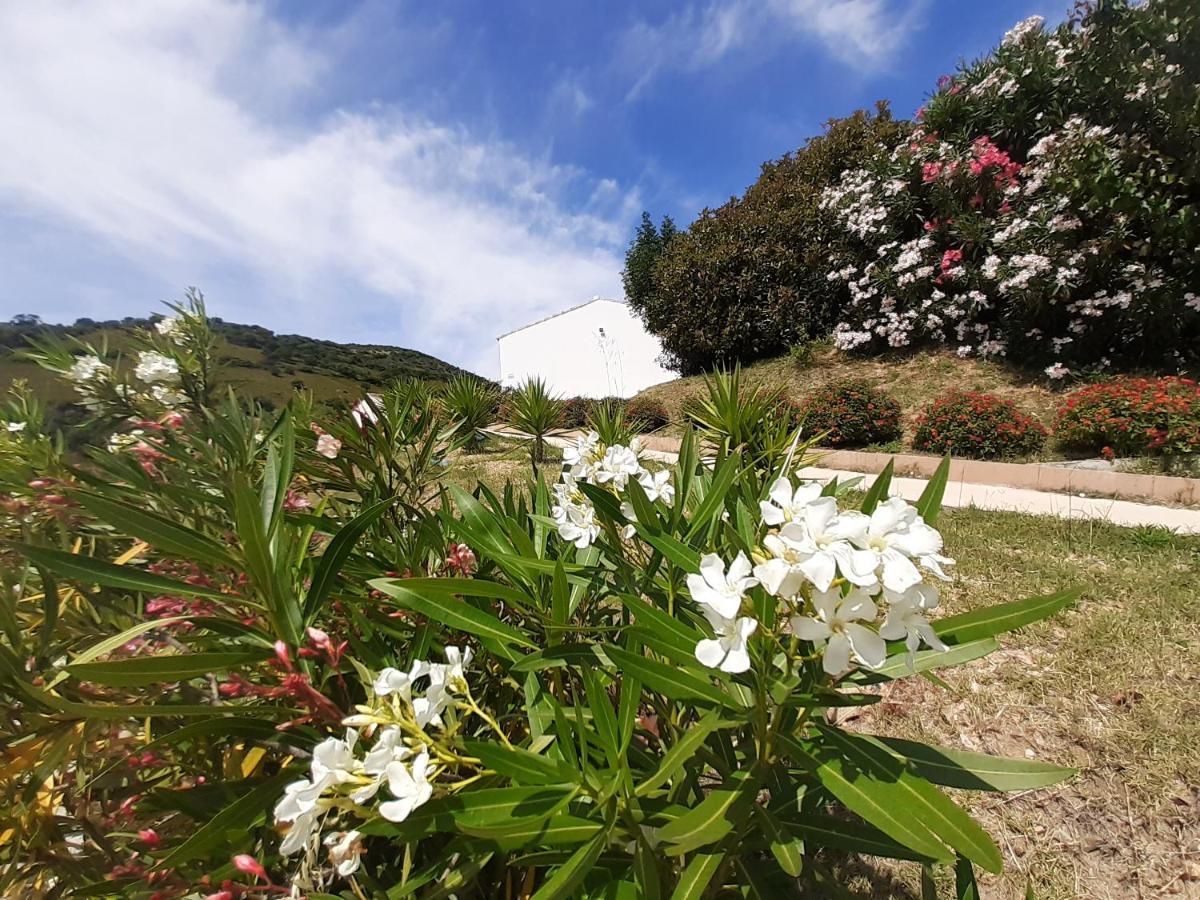 Sole&Sale Bed & Breakfast San Teodoro  Exterior foto