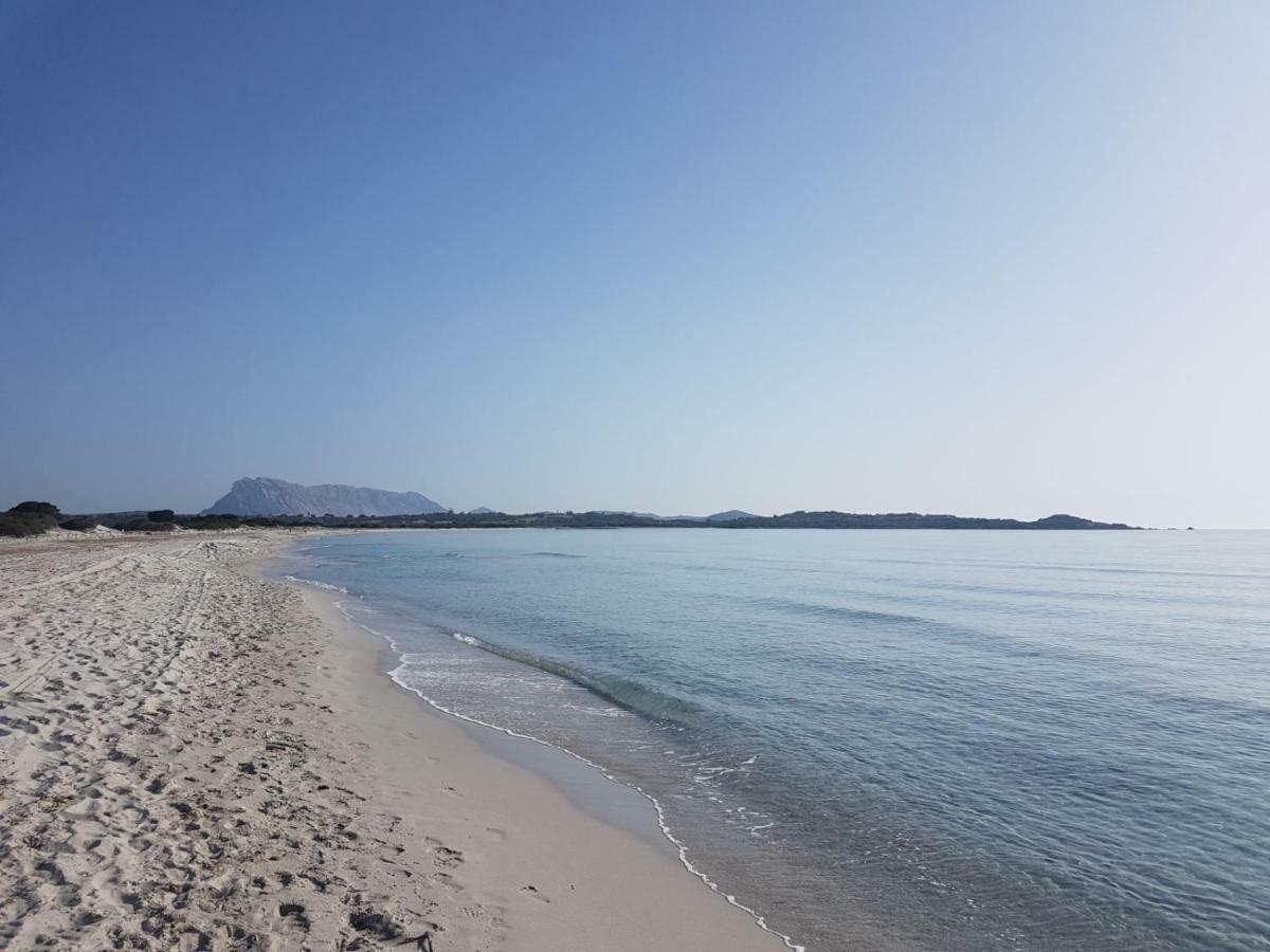 Sole&Sale Bed & Breakfast San Teodoro  Exterior foto